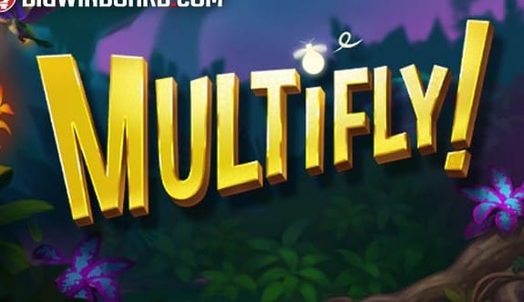 Multifly!